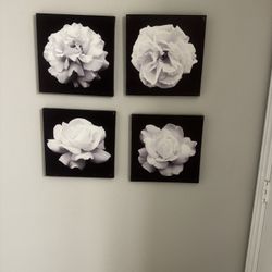 Decorative Pictures 