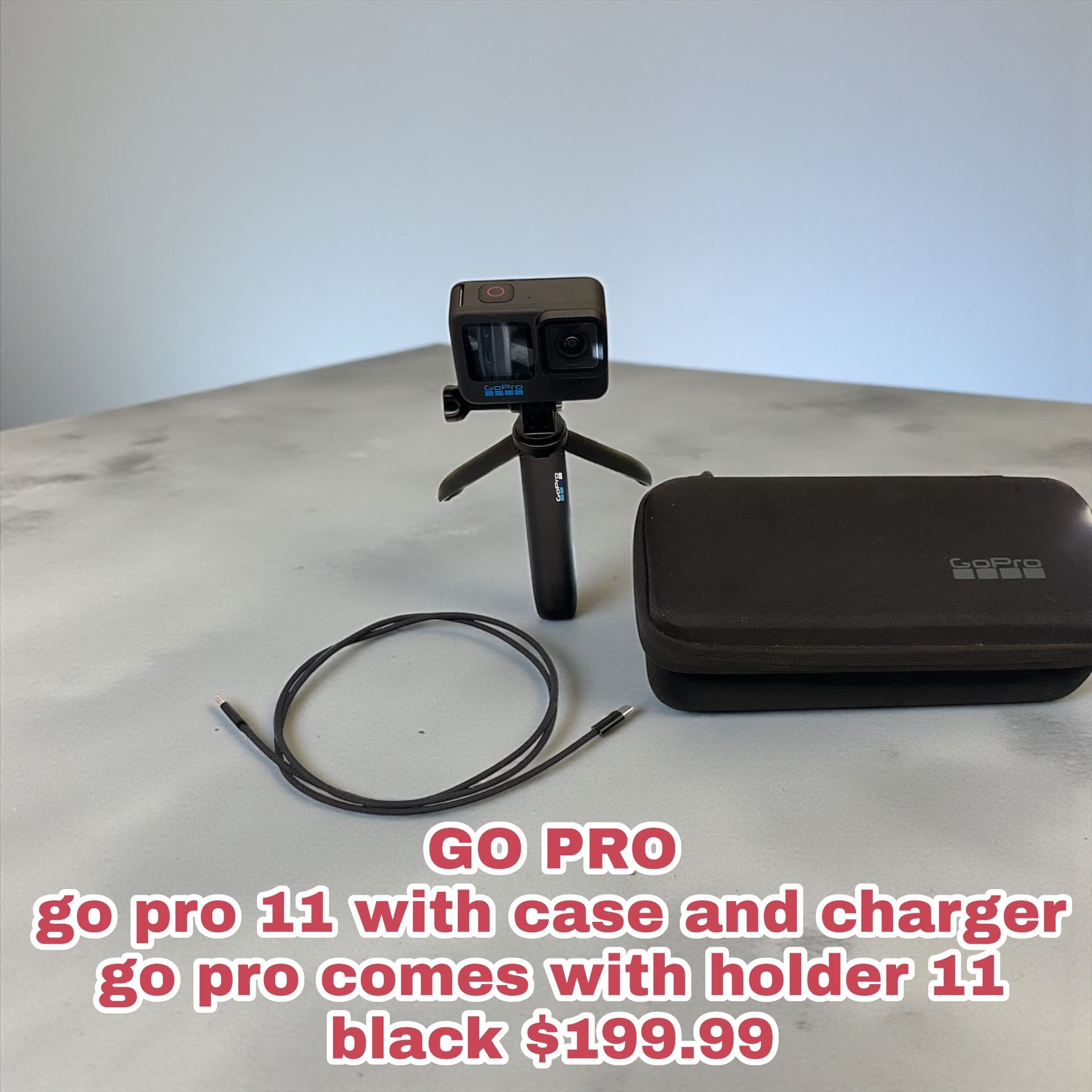 GO PRO go pro 11 with case and charger go pro comes with holder 11 black