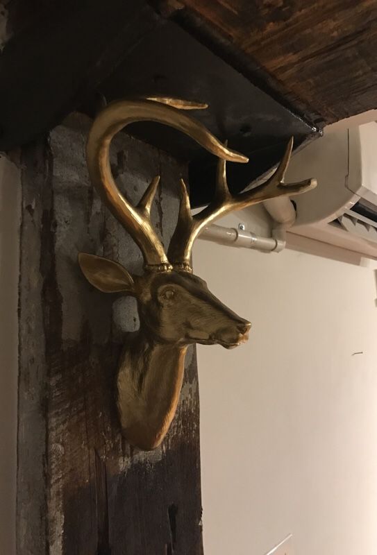 Z Gallerie Deer Head Decor Rizwan For In Atlanta Ga Offerup