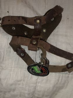 Small dog collar