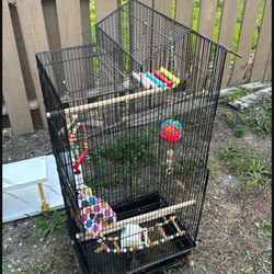 Bird Cage 