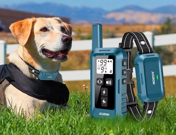 Remote Training Collar 4200FT Range, Waterproof,Fits for 10-120lbs All Sizes of Dogs adjustable NEW