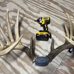 3D Printed General Buck Antlers Full Size