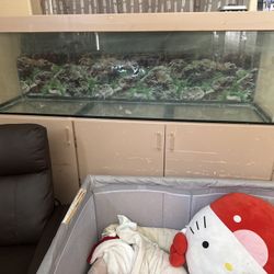 135 Gallon Fish Tank With Stand 