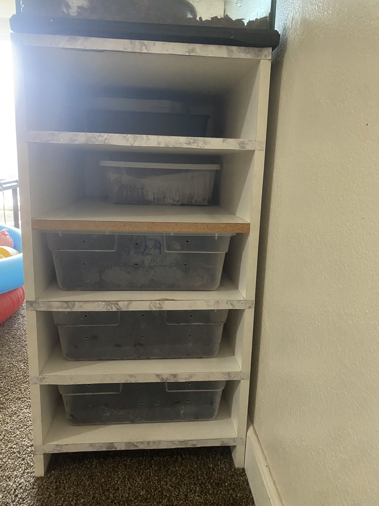 5 Tub Reptile Rack 28qrt Tubs With Heat Tape