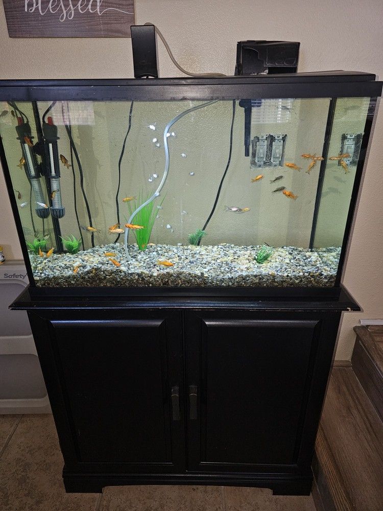 Fishtank 29gl,the aquarium & stand & cover,gravel,water filter,air pump,led lights, $120 Firm