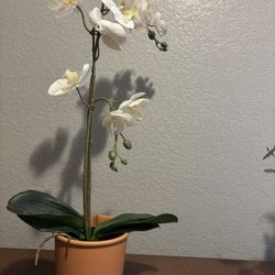 orchid faux plant
