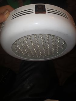 G8 Led Bloom Light $80