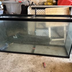 Aquarium/Fish Tank And Stand