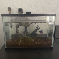 Fish Tank
