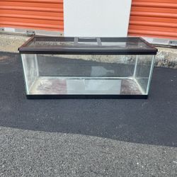 20 gallon tank