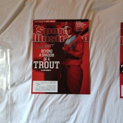 Beyond The Shadow Of A Trout