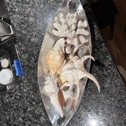 Elliptical Metal Dish N Coral N Shells