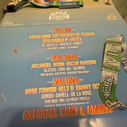 2025 Baja Beach VIP ticket