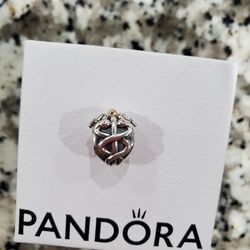Pandora Charm