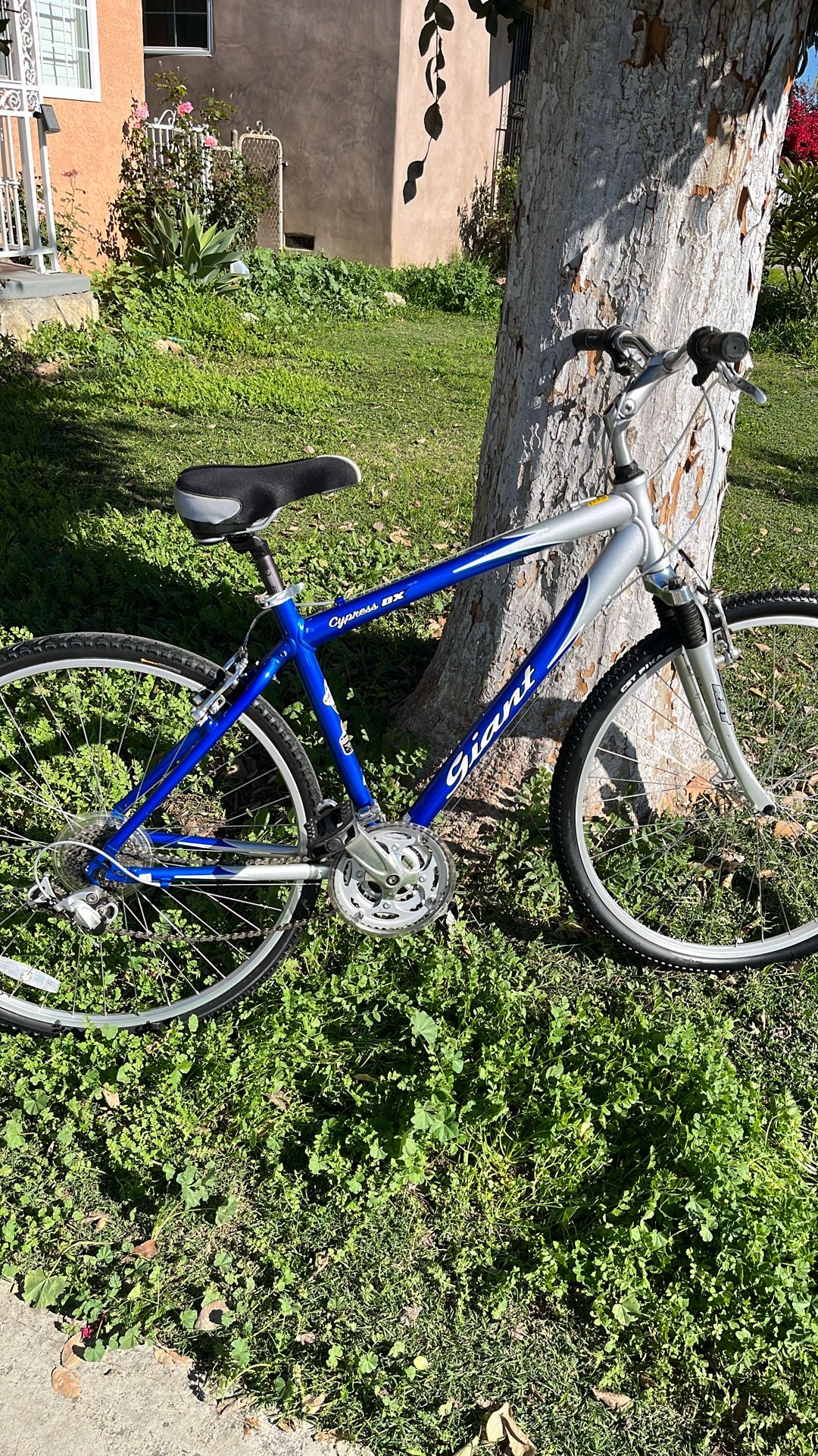 Giant Cypress DX (Or Best Offer)