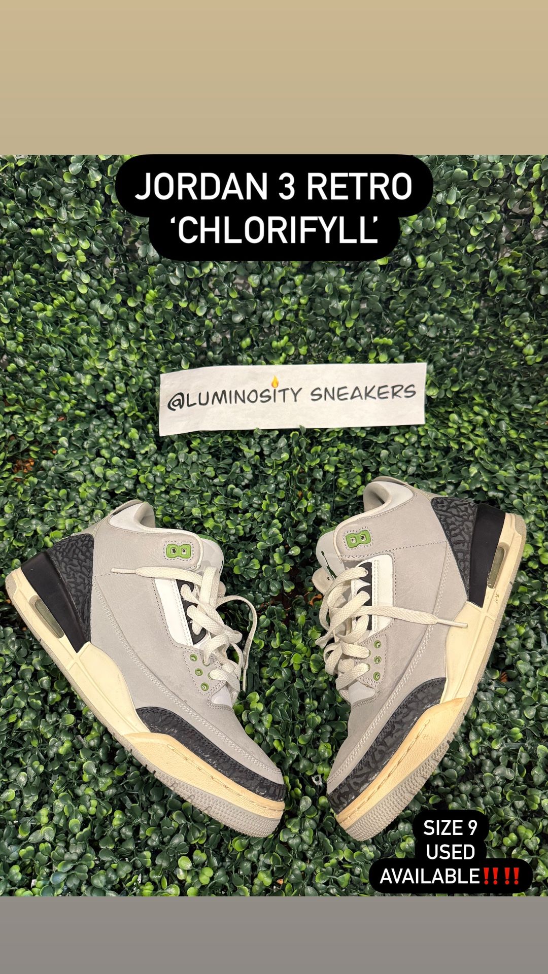 Jordan 3 ‘chlorophyll’ Size 9 Used ( Open To Trades)  