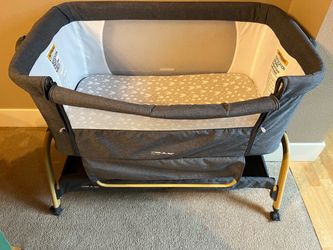 Rocking Bassinet