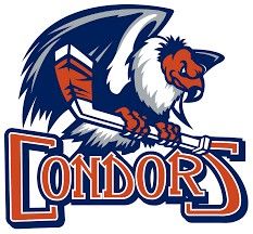 Condors 4/20 