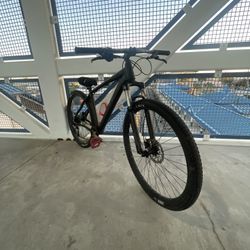 29 Inch Wheelie Mountain Bike  