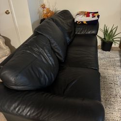 Black Couch 