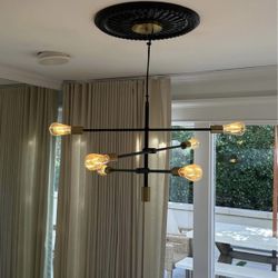 West Elm Light fixture 