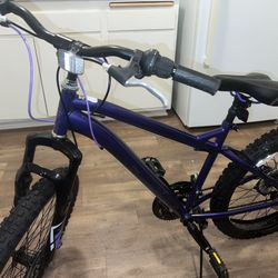 Purple Bike 