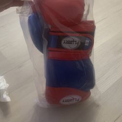 Flurry 14oz Boxing Gloves 