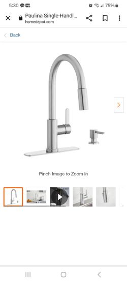 Glacier Bay Paulina Pull Down Kitchen Faucet in Chrome