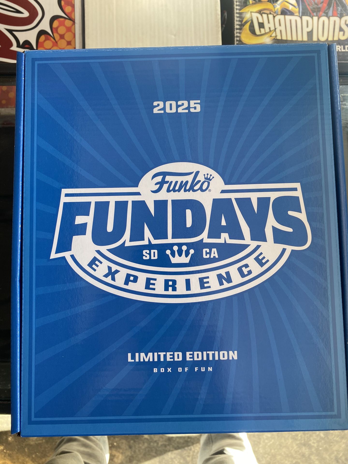 Funko Fundays 2025 Limited Edition Box of Fun includes 4 Limited Edition Pops!