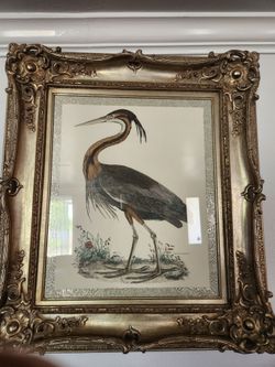 2 vintage art cayenne night heron and purple heron  the 30×34
