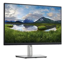 Dell Monitors Model P2419H