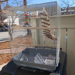 Bird Cage