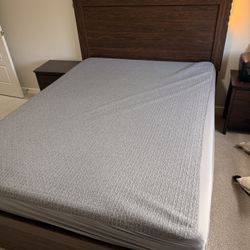 Queen Mattress – Gently Used, Free Protector- ~$1200 Value - Purple Brand Mattress with Unparalleled Comfort And Help With Back Pain 