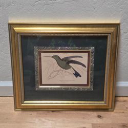 Vintage Buffon's Hummingbird Art Print Ornate Gold Frame Marbled Mat Decor
