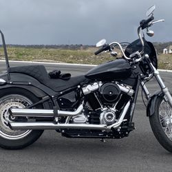 2021 Harley Davidson Softail Standard