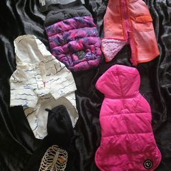 Female Dog Clothes Size Xx-small