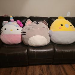 Stuffed Animals