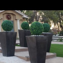 Cement Planters 48 Inches Tall 26 Inches Wide 