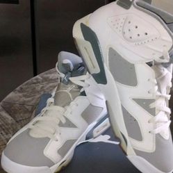 Air Jordan -Cool Grey 6
