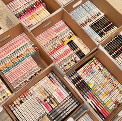 Whole Bunch of Manga #2 • Pricing Below!