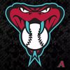 Arizona Diamondbacks Fan