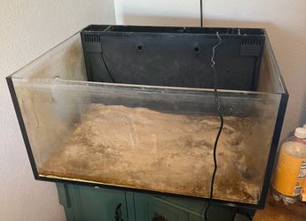 20 gallon aquarium