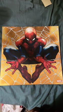 Spider-man canvas picture frame