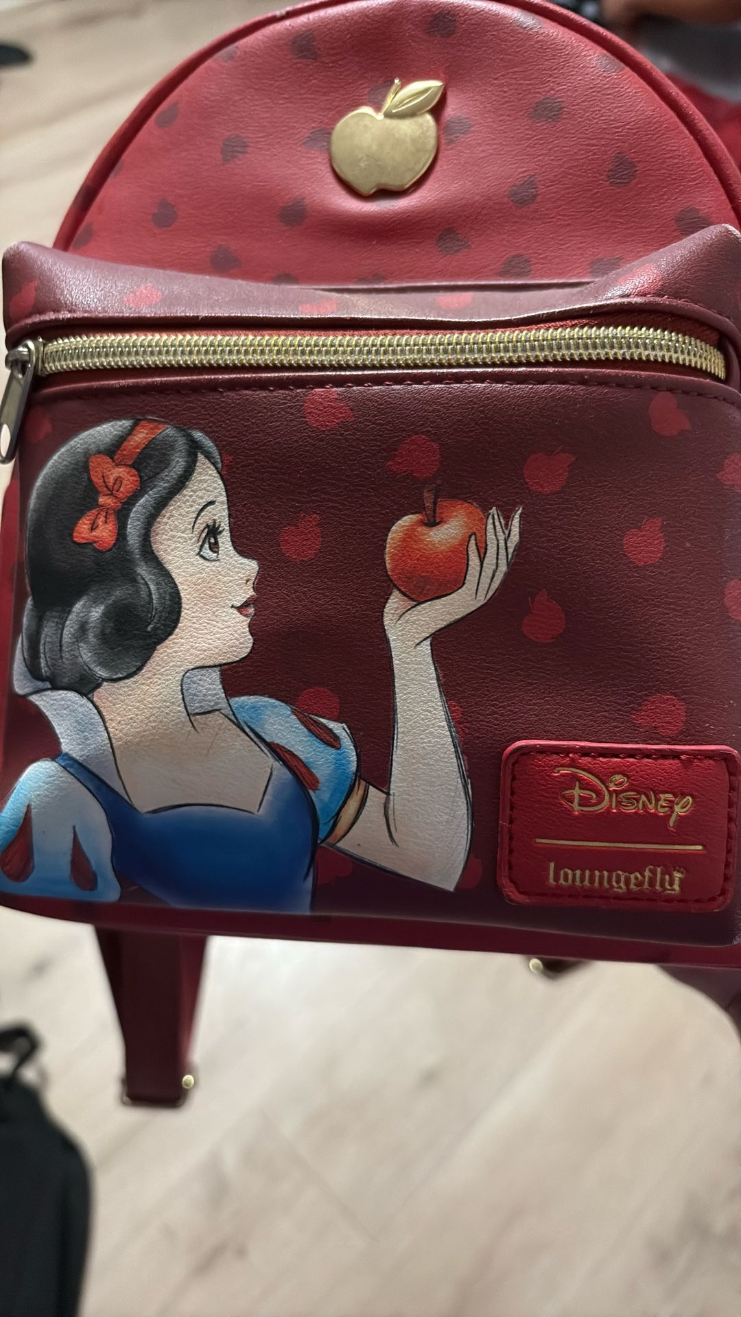 Disney Bag