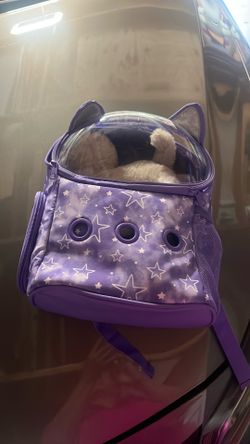 Play cat with backpack and accessories