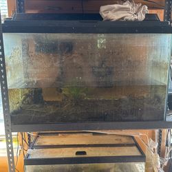 30 Gallon Tank