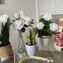 Decorative flower pots