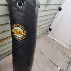 Punching Bag