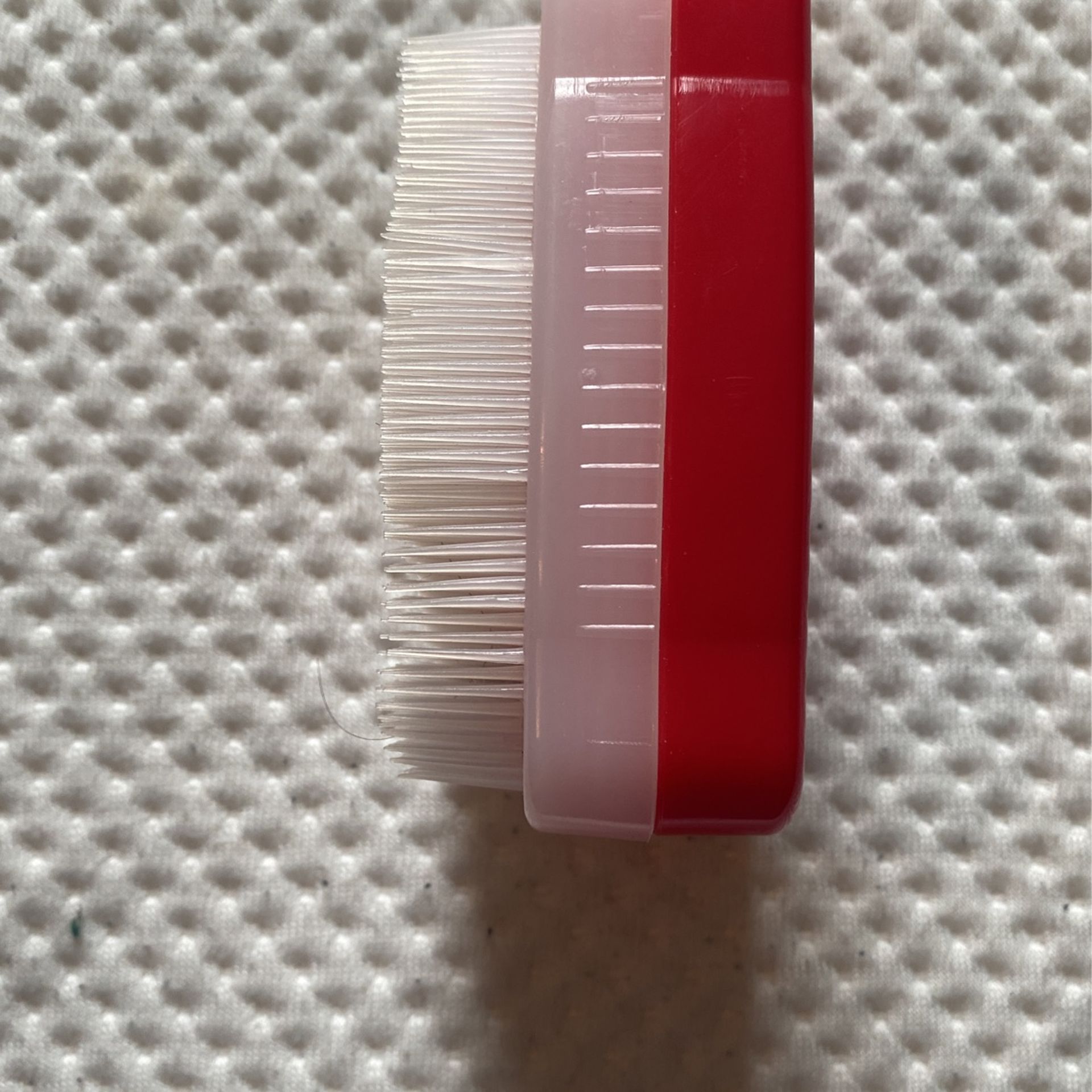 Small Animal Brush